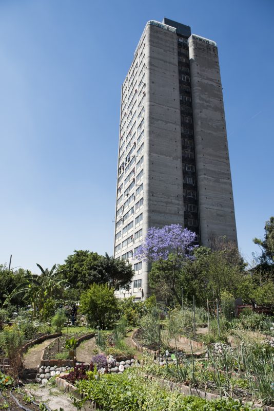 Imagen de Huerto Tlatelolco